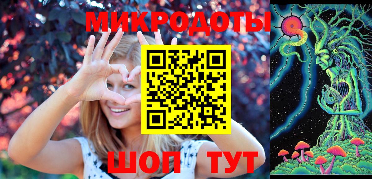Псилоцибиновые грибы Psilocybe Томск