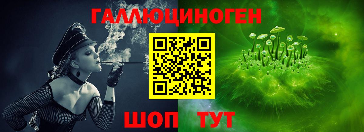Галлюциногенные грибы Psilocybine cubensis  Вход с VPN  Томск 